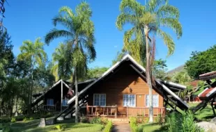 Pinares de Mayari 3*