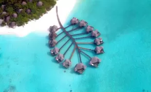 Coco Palm Dhuni Kolhu 4*