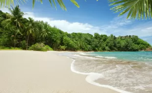 Serene Sands Health Resort 4*