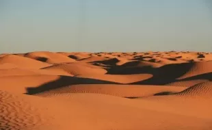 Туры в Тунис